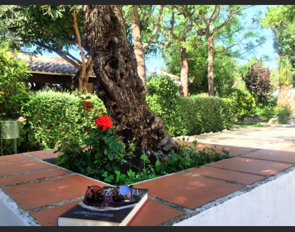 Lanjarón Hotel Alcadima מראה חיצוני תמונה
