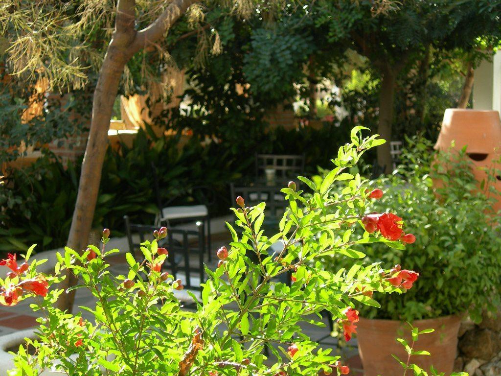 Lanjarón Hotel Alcadima מראה חיצוני תמונה